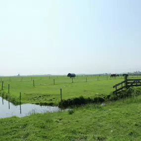 Bild von Sprookjesachtige cottage tussen bos en dorp - Belvilla by Oyo