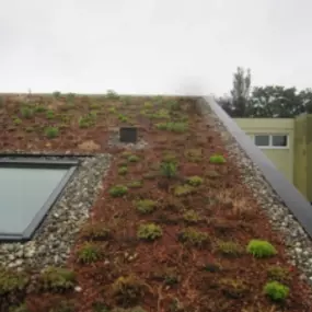 Bild von Gurr Garten- und Landschaftsbau GmbH
