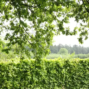 Bild von Rustige vakantiewoning in Doorn met bos dichtbij - Belvilla by Oyo