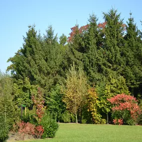 Bild von Vakantiehuis met wifi - Belvilla by Oyo