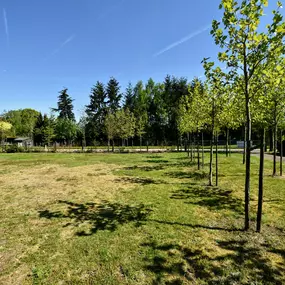 Bild von Vakantiehuis met wifi - Belvilla by Oyo