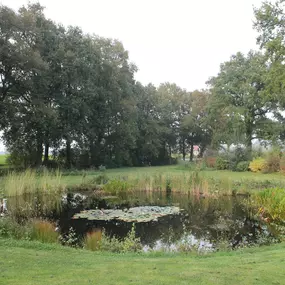 Bild von Villa met sauna bij de Sallandse heuvelrug - Belvilla by Oyo