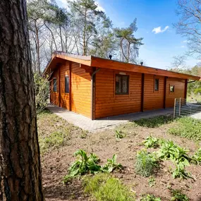 Bild von Finse woning met omheinde tuin nabij de Sallandse Heuvelrug - Belvilla by Oyo