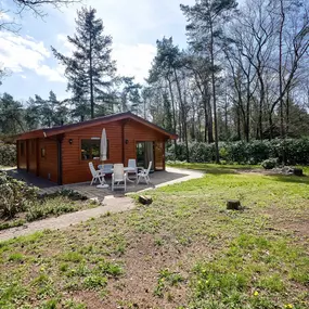 Bild von Finse woning met omheinde tuin nabij de Sallandse Heuvelrug - Belvilla by Oyo