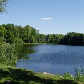 Bild von Vakantiehuis grote speel/zonneweide - Belvilla by Oyo