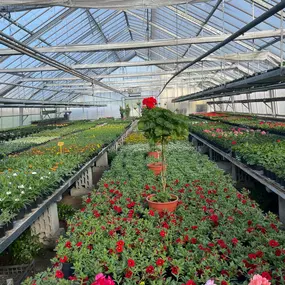 Bild von Blumen Exclusiv Andrea Höglinger e.U.