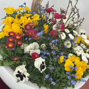 Bild von Blumen Exclusiv Andrea Höglinger e.U.