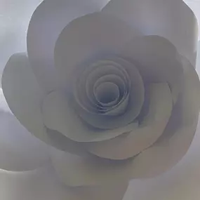 Bild von Blumen Exclusiv Andrea Höglinger e.U.