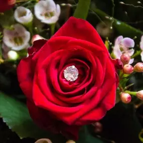 Bild von Blumen Exclusiv Andrea Höglinger e.U.