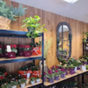 Bild von Melly's Blumenzauber