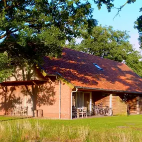 Bild von Ruim vakantiehuis in Geesteren met overdekt terras - Belvilla by Oyo