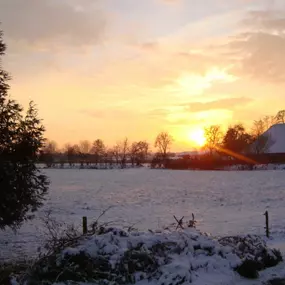 Bild von Vrijstaande vakantieboerderij in Friesland bij het bos - Belvilla by Oyo