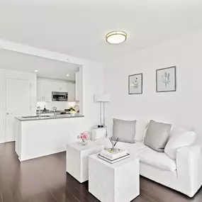 Living room and kitchen