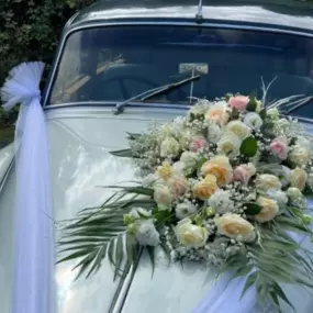 Bild von Blumen Dornröschen GmbH