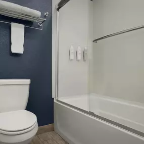 Guest room bath