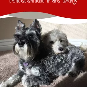 Happy National Pet Day! We love our furry companions and know you do too! Call and save with State Farm pet insurance; be prepared for the unexpected!