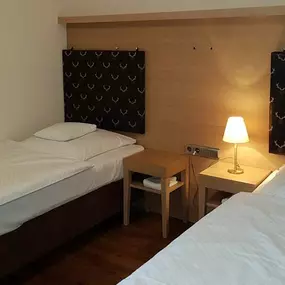 Bedroom Twin Bed Black Forest Suite