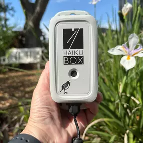 Haikubox for listening to bird songs and bird song identifier