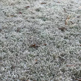 Greenway Lawn Care 2