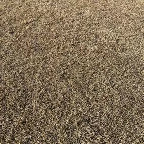 Greenway Lawn Care 3