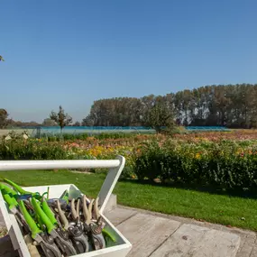 Bild von Romantische studio met tuin - Belvilla by Oyo