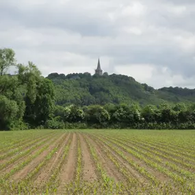 Bild von Gezellig vakantiehuis met uitzicht over de weilanden - Belvilla by Oyo