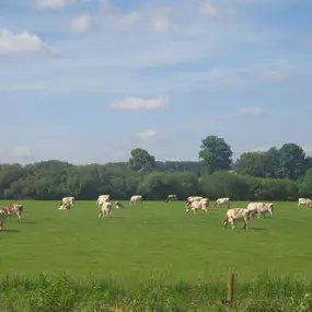 Bild von Gezellig vakantiehuis met uitzicht over de weilanden - Belvilla by Oyo