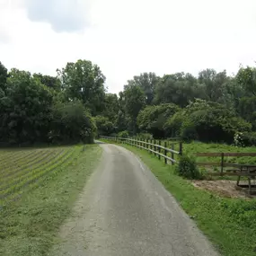 Bild von Gezellig vakantiehuis met uitzicht over de weilanden - Belvilla by Oyo