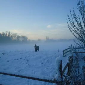 Bild von Gezellig vakantiehuis met uitzicht over de weilanden - Belvilla by Oyo
