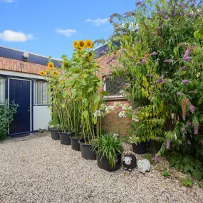 Bild von Gezellige bungalow in Landgraaf met terras en natuurtuin - Belvilla by Oyo