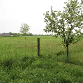 Bild von Vakantiehuis in rustige omgeving - Belvilla by Oyo