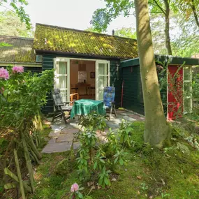 Bild von Midden in het Gooise landschap - Belvilla by Oyo
