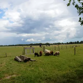 Bild von Mooie, geschakelde boerderij in het Drentse Wapse - Belvilla by Oyo