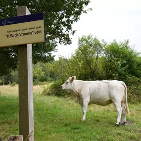 Bild von Mooie, geschakelde boerderij in het Drentse Wapse - Belvilla by Oyo