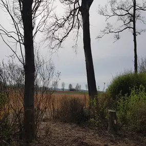 Bild von Huisje met weids uitzicht en tuin op het zuiden - Belvilla by Oyo