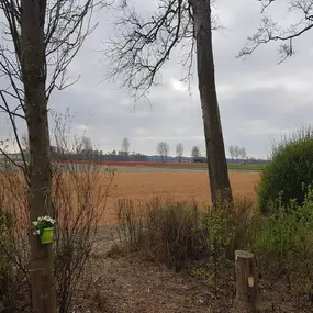 Bild von Huisje met weids uitzicht en tuin op het zuiden - Belvilla by Oyo