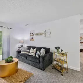 Living Room With TV