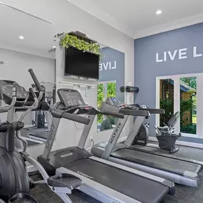 Cardio Equipment