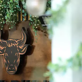 Bild von Black Bull