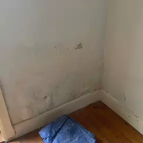 Bild von Mothline Preservations Ltd