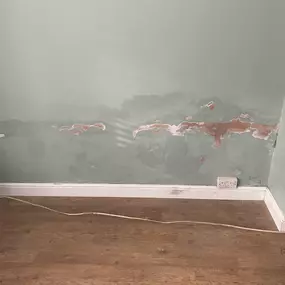 Bild von Mothline Preservations Ltd