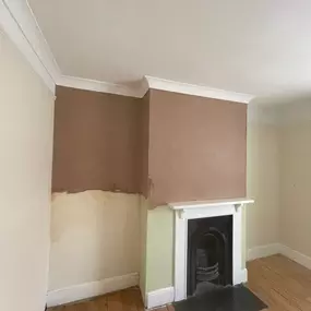 Bild von Mothline Preservations Ltd