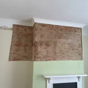 Bild von Mothline Preservations Ltd