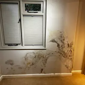 Bild von Mothline Preservations Ltd