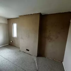 Bild von Mothline Preservations Ltd