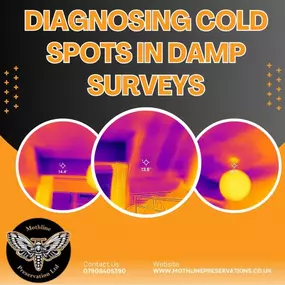 Bild von Mothline Preservations Ltd