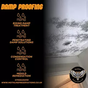 Bild von Mothline Preservations Ltd