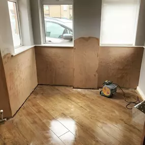 Bild von Mothline Preservations Ltd