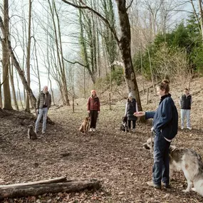 Bild von dogs & dogs Hundeschule Rosenheim