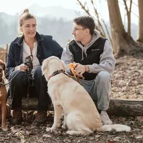 Bild von dogs & dogs Hundeschule Rosenheim